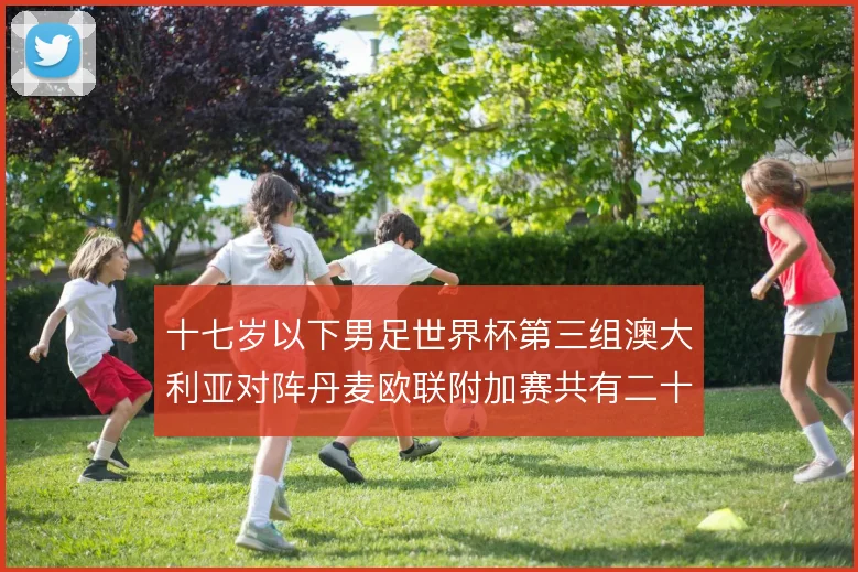 十七岁以下男足世界杯第三组澳大利亚对阵丹麦欧联附加赛共有二十四队参加
