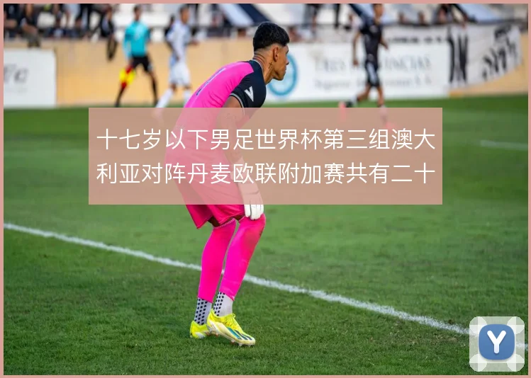 十七岁以下男足世界杯第三组澳大利亚对阵丹麦欧联附加赛共有二十四队参加